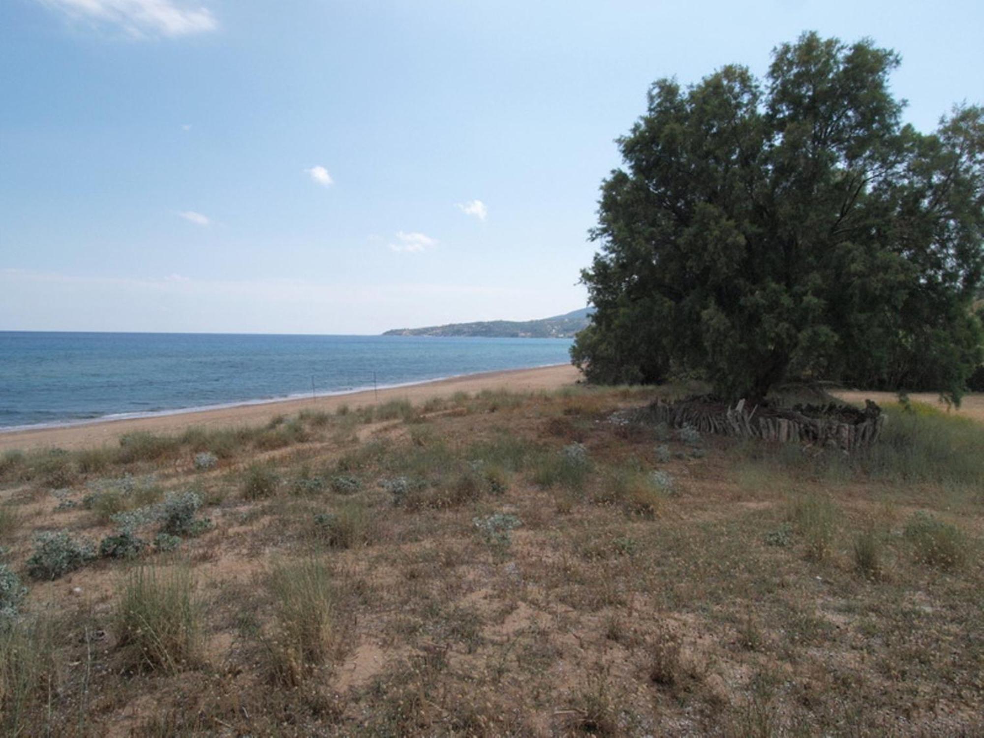 Voula